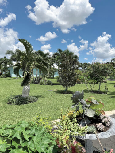 Garden Club of Cape Coral | Garden sanctuary